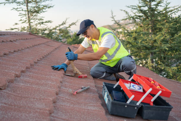 Residential Roof Replacement in Oakwood Hills, IL